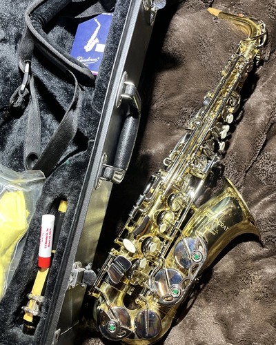 Selmer as600 aristocrat - as600,