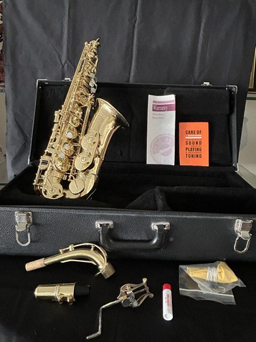 Selmer alto saxophone - alto,